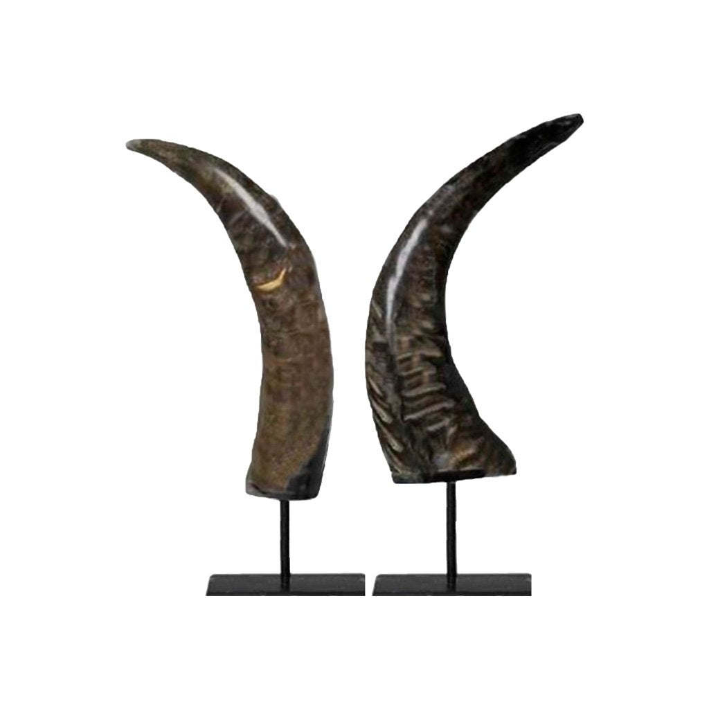 Buffalo Horn Decoration Set by Eichholtz