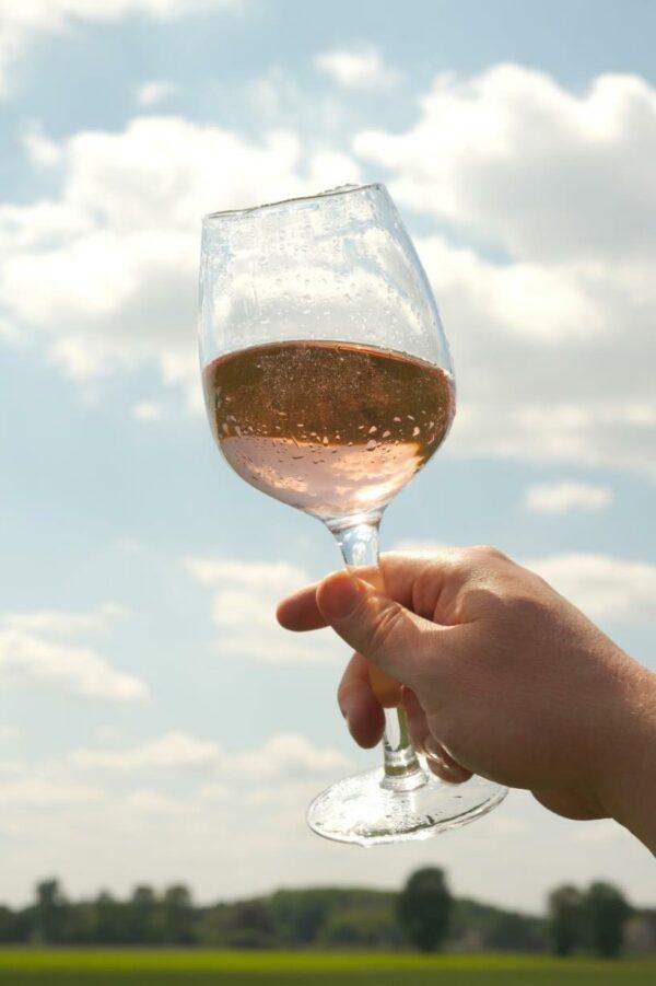 Wine Glass by Sempre 